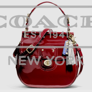 Coach Inc. отсудила рекордную компенсацию 