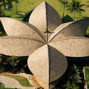 Дом из лепестков