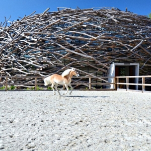Ферма-гнездо в чешской провинции