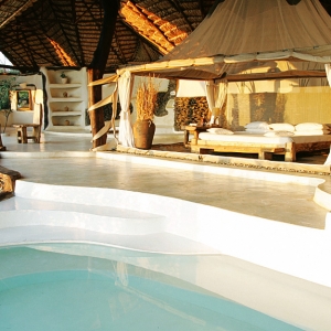 Роскошный отдых в африканской саванне