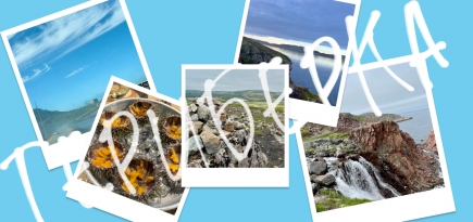 Новая точка на карте: заполярная Териберка