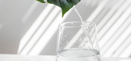 Не опять, а снова. Нутрициолог — о том, почему важно поддерживать водный баланс