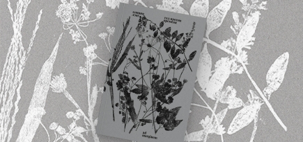 «Сад против времени. В поисках рая для всех»: отрывок из книги Оливии Лэнг о связи растений с историей и культурой