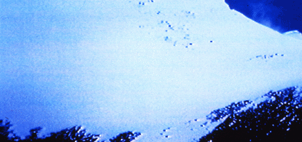 Выставки в Севкабель Порту и концерты на Новой Голландии: что делать в Петербурге в июле? Культурный дайджест BURO.