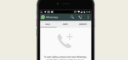 По WhatsApp теперь можно звонить