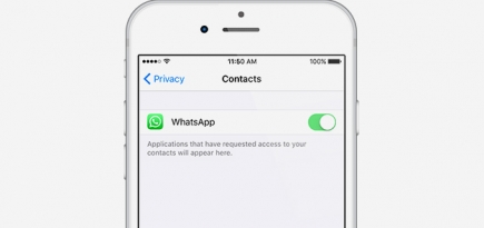 По WhatsApp можно будет передавать файлы любого формата