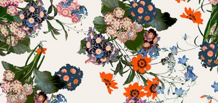 Следующая коллаборация H&M будет c Erdem