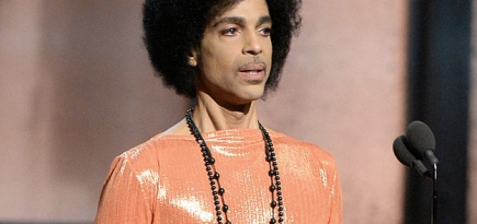 Сестра Принса рассказала, какой цвет певец любил на самом деле