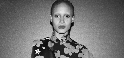 Открытие выставки Ирвина Пенна в Париже