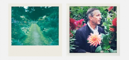 Дрис ван Нотен сфотографировал помидоры и терьера Гарри для The New York Times