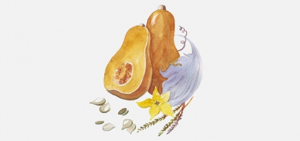 Как приготовить это дома: филе палтуса и тыквенные ньокки в пармезановом молочке