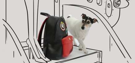 Собака Донателлы Версаче стала лицом Versace