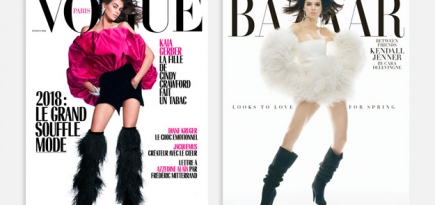 Harper's Bazaar и Vogue выпустили похожие обложки
