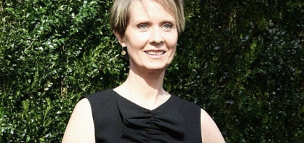 Миранда из «Секса в большом городе» баллотируется в губернаторы Нью-Йорка