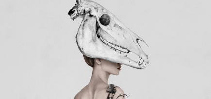 В Музее Виктории и Альберта откроется выставка о связи моды и природы