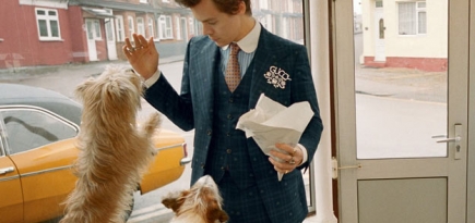 Гарри Стайлс позирует с щенками и домашней птицей в новой кампании Gucci