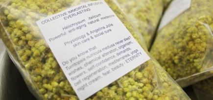 В ЦУМе пройдет образовательная программа о современном искусстве