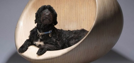 Бюро Захи Хадид и другие известные студии сделали будки для собак