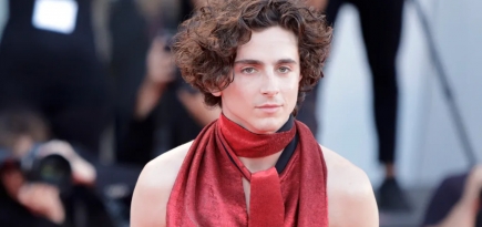 Тимоти Шаламе рассказал, почему не смог сняться в «Дивергенте» и «Бегущем в лабиринте»