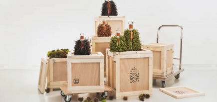 Loewe совместно с Hennessy выпустил кожаный футляр для напитков