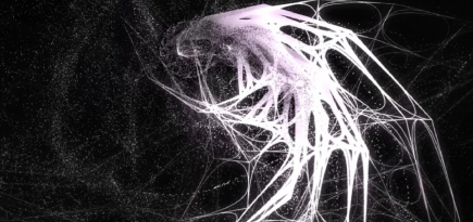 В Generative Gallery открылась выставка «Где я? / система координат»