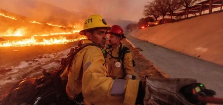 Disney и Paramount внесли пожертвования на ликвидацию последствий пожаров в Лос-Анджелесе