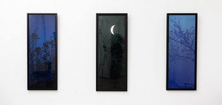 «Тираж 1/1» откроет выставочный проект «Отражение, преломление, рефлекс»