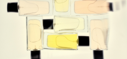 Limé запустил парфюмерную линию