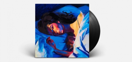 Фанатка повесила пластинку Лорд в Лувре