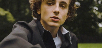 Тимоти Шаламе сыграет в новой экранизации «Дюны» от режиссера «Бегущего по лезвию 2049»