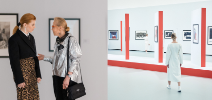 В МАММ прошел ужин по случаю 5-летия Still Art