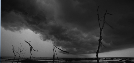 На фестивале «КАРО.Арт» состоится премьера триллера «Вдохновение»