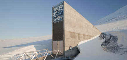 Ингредиенты будущего: зачем человечество построило огромное и поразительно красивое хранилище семян на Шпицбергене