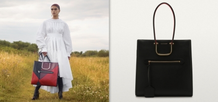 Сумка Tall Story Alexander McQueen. Своя история