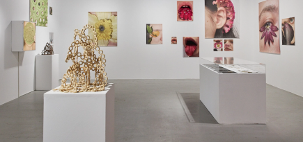 HSE Art Gallery открывает выставочное пространство на «Винзаводе»