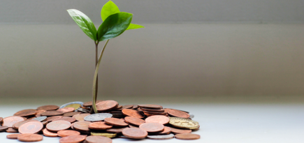 Как не нервничать из-за денег и перестать бояться кризиса? Обсудили с психологом