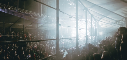 Signal объявил арт-колл на участие в программе фестиваля