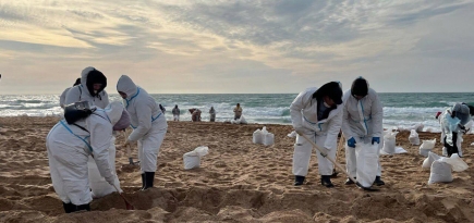 В Крыму обнаружили семь новых очагов выброса мазута