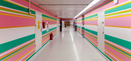 Бриджет Райли расписала больницу в Лондоне