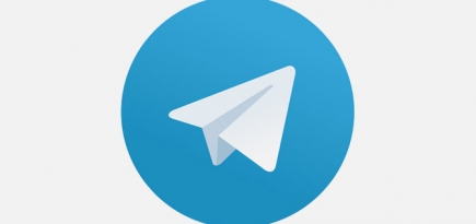 В соцсетях показали «ключи от Telegram» Павла Дурова
