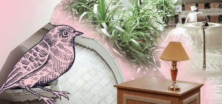 Самые красивые библиотеки России. Часть 1: Донская государственная публичная библиотека