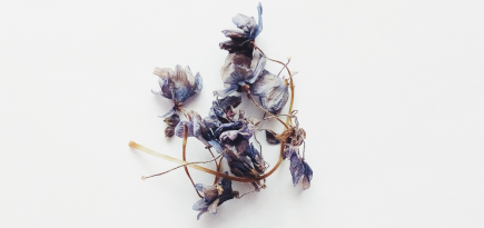 Хочу поддержать близкого человека в сложной ситуации. Как это сделать?