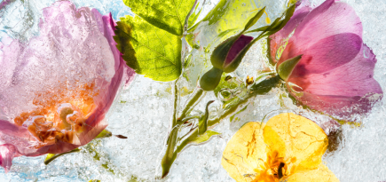 Заморозка яйцеклеток: вопросы врачу-репродуктологу