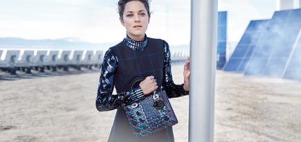 Полная версия: Марион Котийяр для Lady Dior