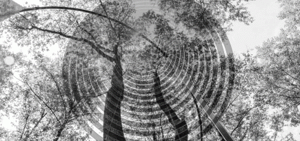 Константинов, Урбан и МишМаш: гид по новому арт-маршруту в Парке Малевича