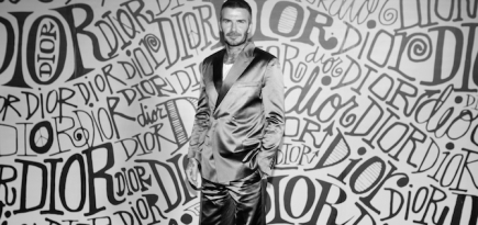 Дэвид Бекхэм, Трэвис Скотт и другие гости показа Dior Men, коллекция pre-fall 2020
