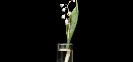 Рерих, Ге и предметы Фаберже на русских торгах Bonhams