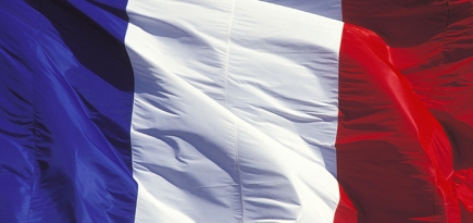 Терроризм по-соседски