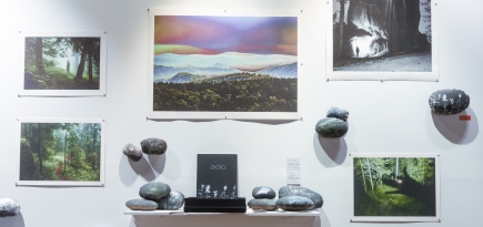 Назвали участников сибирской ярмарки современного искусства Scan Fair 2025