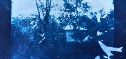 Художники рисуют для BURO.: Анастасия Безвершук — о Сибири, свете и неуловимости